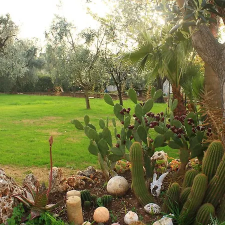 Garden Eco-holiday *