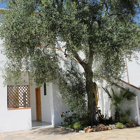 Green Garden Eco-holiday