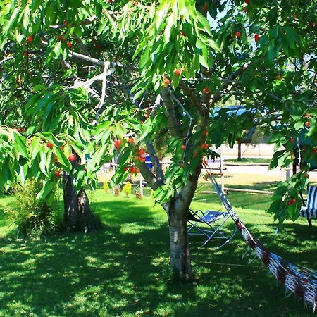 Aparthotel Garden Eco-holiday *