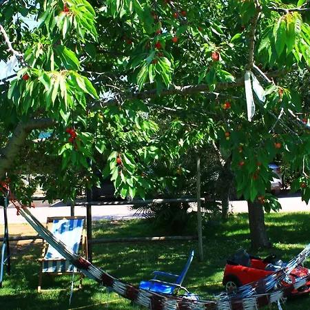 Garden Eco-holiday *