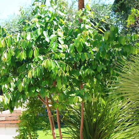 Aparthotel Garden Eco-holiday